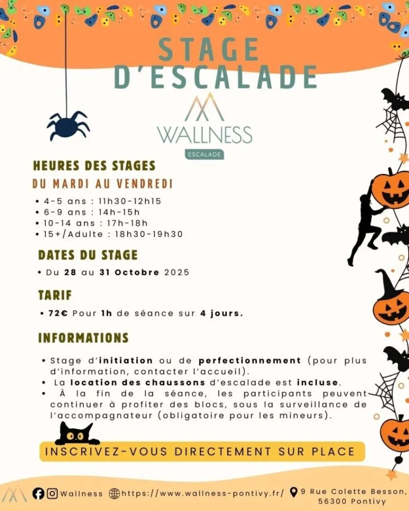 Stage dEscalade a Wallness Pontivy de la Toussaint 2