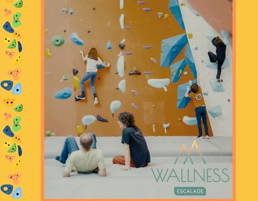 Les cours d&rsquo;Escalade à Wallness pendant les vacances scolaires