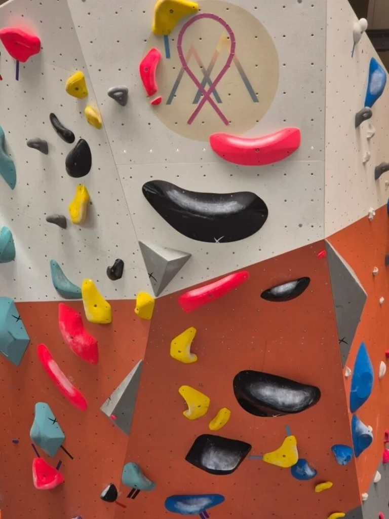 visuel logo avec ruban rose Wallness Pontivy