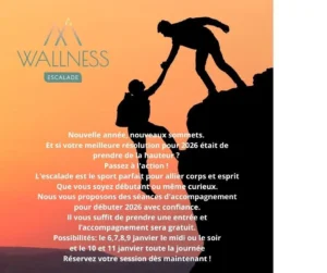 Resolutions 2026 publication Facebook Wallness Pontivy
