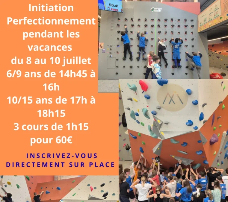 Stage escalade été 2026